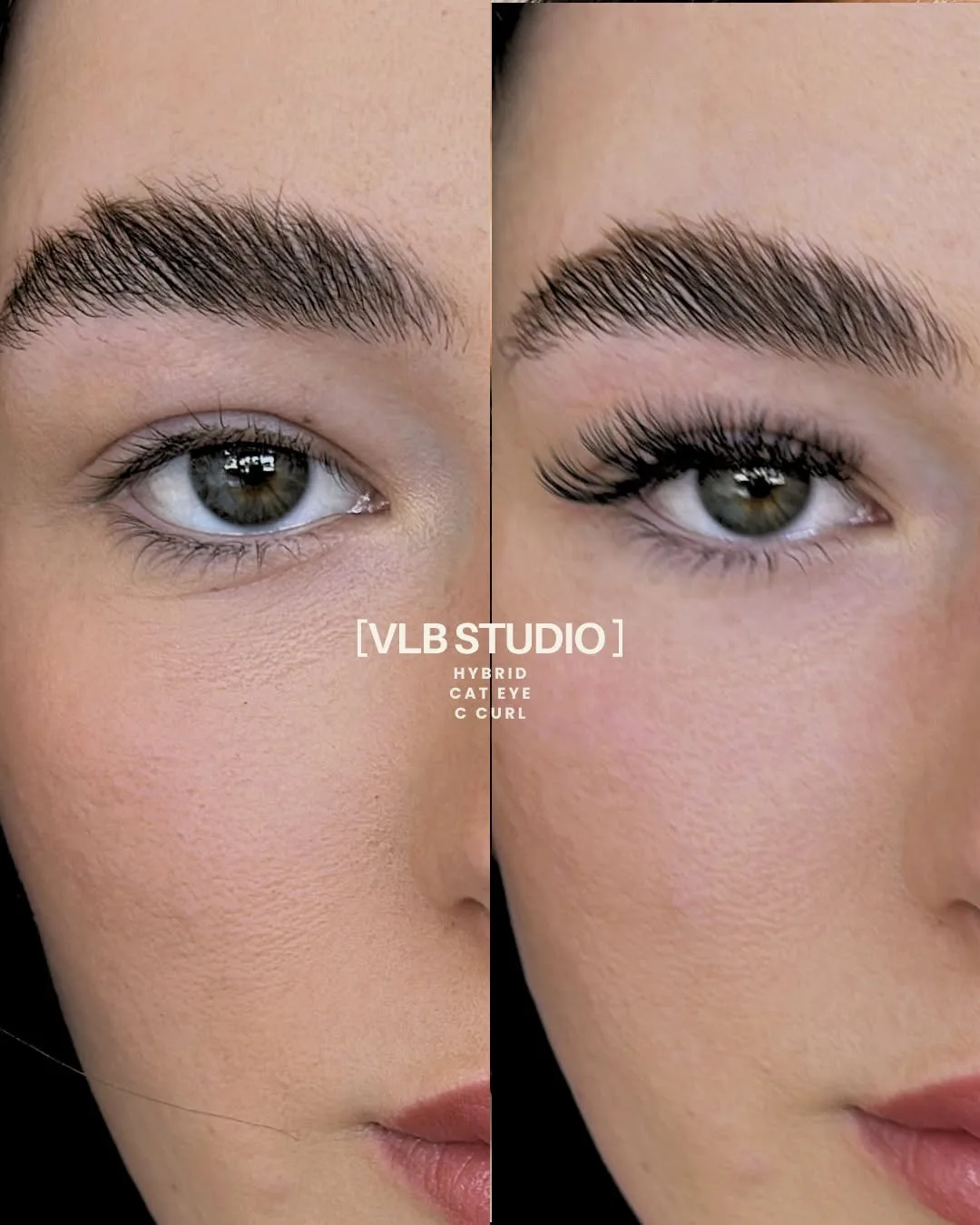 Hybrid Cat Eye C Curl — VLB Studio